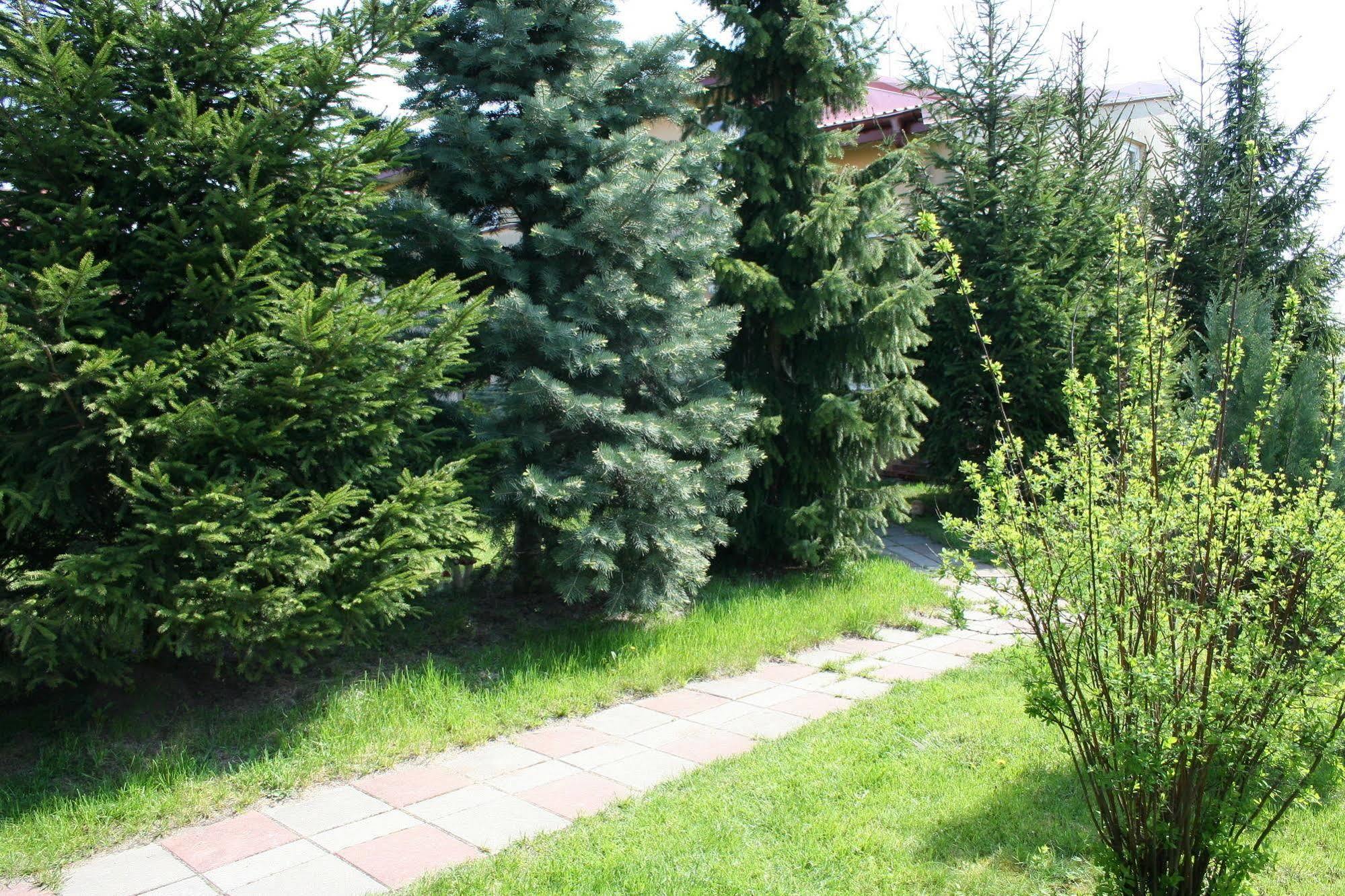 Mv Apartamenty Komfort Augustów Kültér fotó
