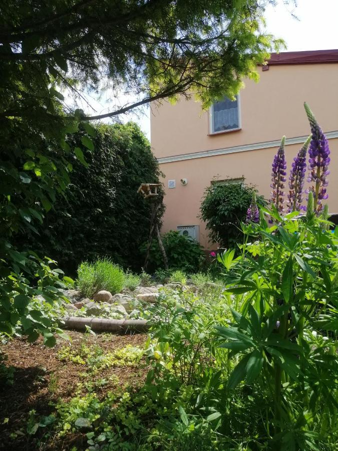 Mv Apartamenty Komfort Augustów Kültér fotó